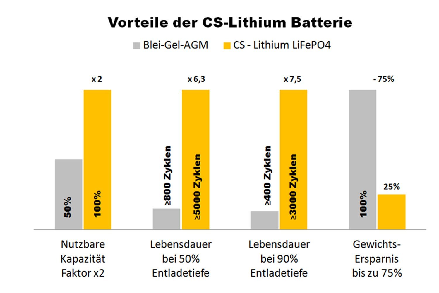 CS 100Ah 12V Lithium LiFePO4 Caravan / Wohnmobil Batterie
