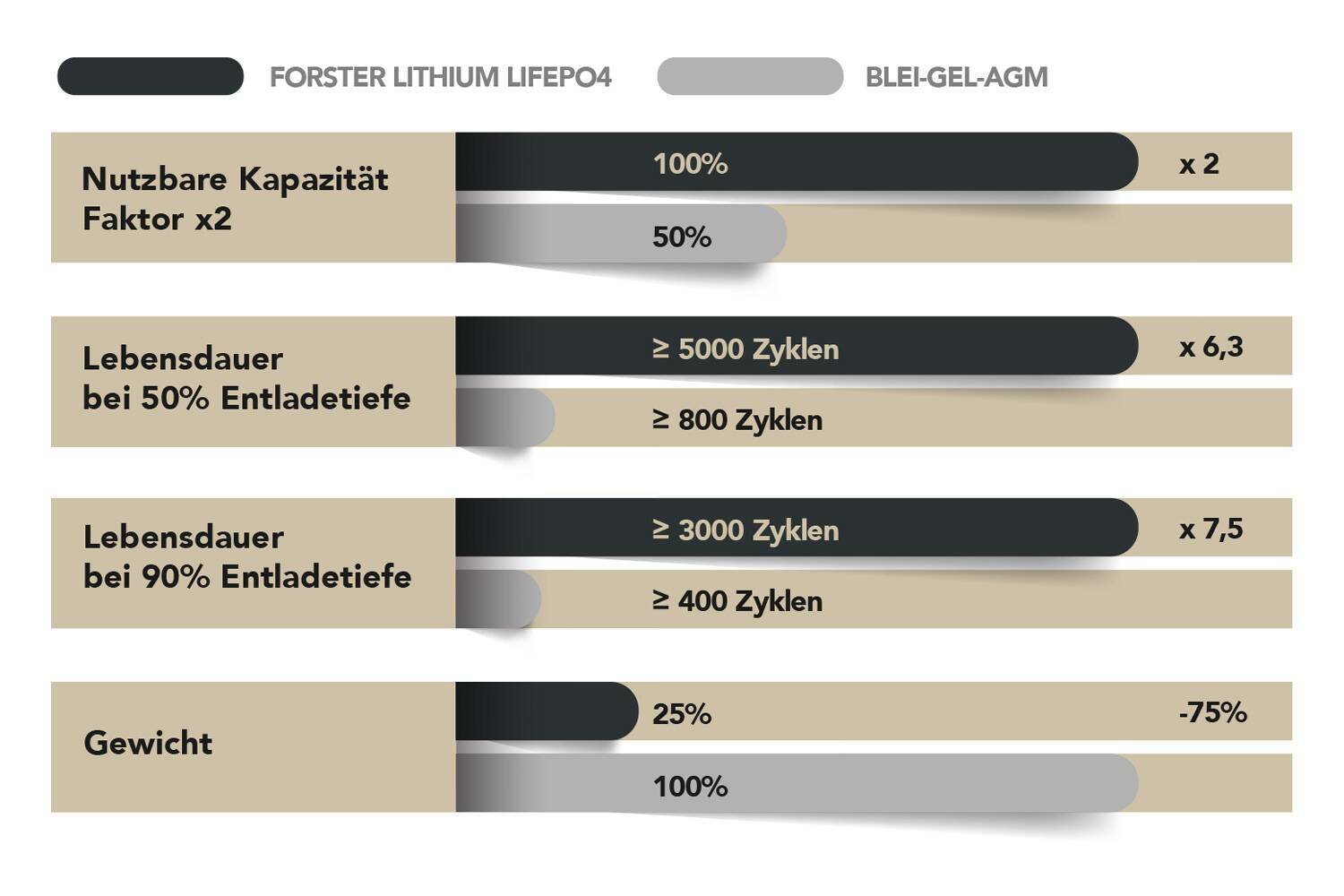 FORSTER 100Ah 25,6V LiFePO4 Premium Batterie | 200A-BMS-2.0 | 2560Wh | IP67