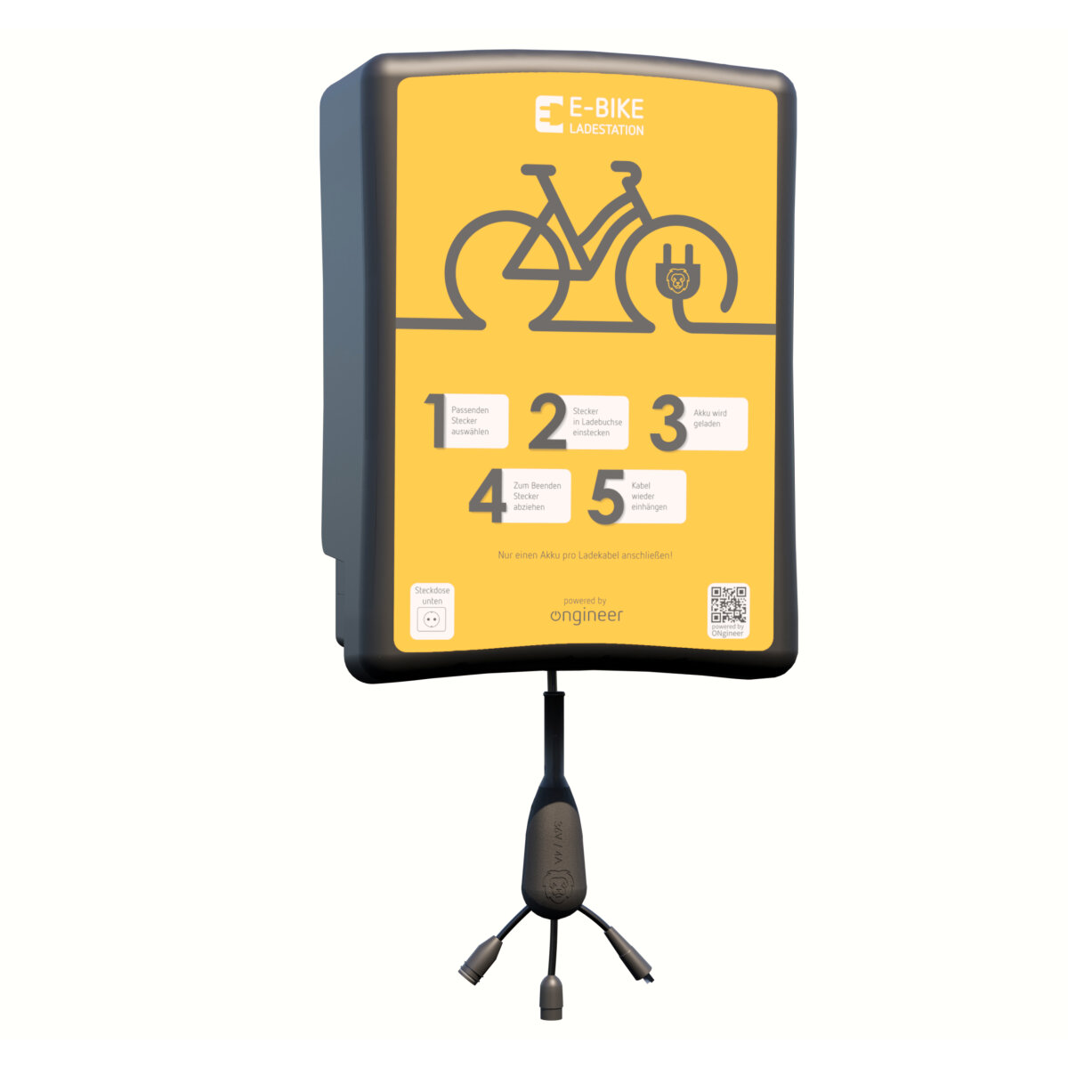 LiON Box – 36 V E-Bike-Ladestation (Wallbox) mit 2 Ladepunkten / Bosch-BMZ-Yamaha
