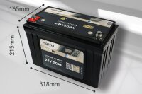 FORSTER 50Ah 25,6V Lithium Fishing Batterie | BMS | Smart Bluetooth | IP67