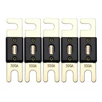 Offgridtec 72V ANL Sicherung DIN43560/1, 5er-Set 300A