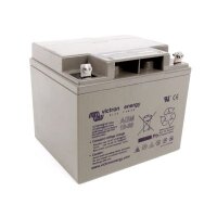 Victron AGM 12V 38Ah Deep Cycle Akku Batterie